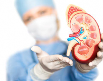 kidney-transplant-in-india