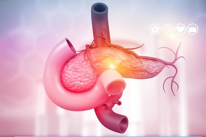 best pancreatic cancer in india
